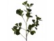 Artificial Flower Green Plastic - Clayre & Eef