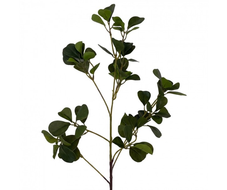 Artificial Flower Green Plastic - Clayre & Eef