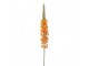 Artificial Flower Orange Plastic - Clayre & Eef