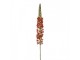 Artificial Flower Orange Plastic - Clayre & Eef