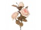 Artificial Flower White Plastic Decorative Branch - Clayre & Eef