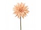 Artificial Flower Beige Plastic - Clayre & Eef