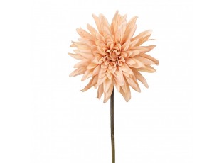 Artificial Flower Beige Plastic - 