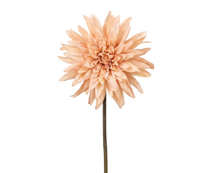 Artificial Flower Beige Plastic - Clayre & Eef