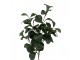 Artificial Flower Green Plastic - Clayre & Eef
