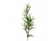 Artificial Flower Green Plastic - Clayre & Eef