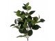 Artificial Flower Green Plastic - Clayre & Eef