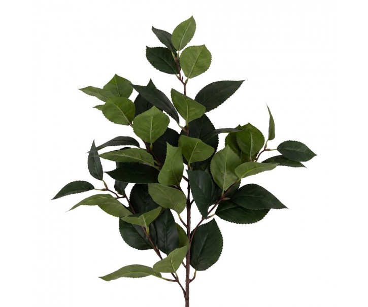 Artificial Flower Green Plastic - Clayre & Eef