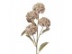 Artificial Flower Beige Plastic - Clayre & Eef
