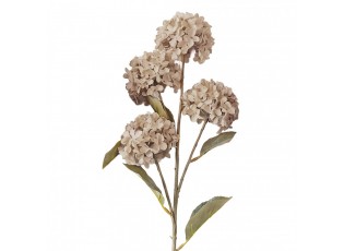 Artificial Flower Beige Plastic - 