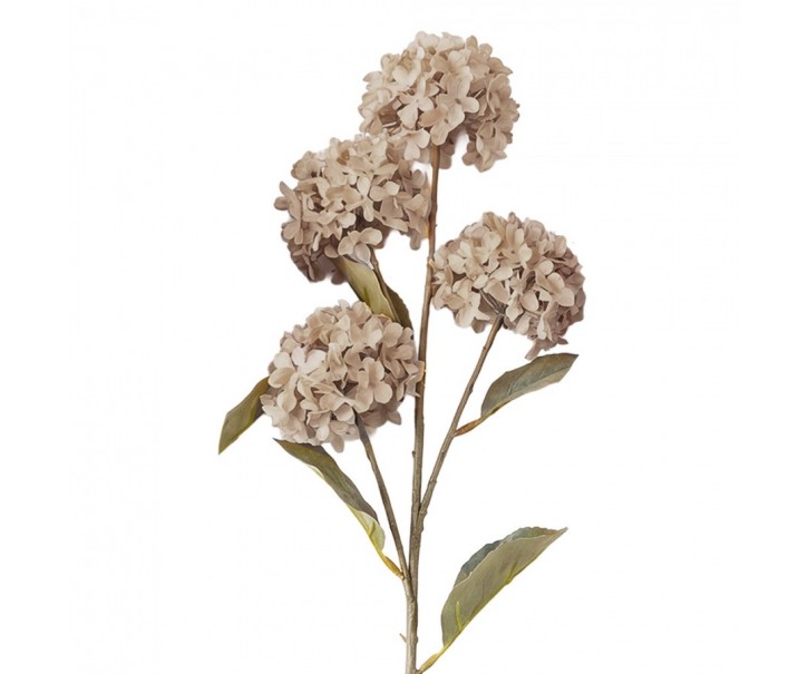 Artificial Flower Beige Plastic - Clayre & Eef
