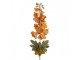 Artificial Flower Beige Plastic - Clayre & Eef
