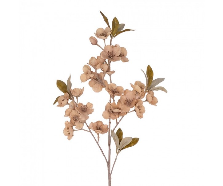 Artificial Flower Beige Plastic - Clayre & Eef