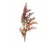 Artificial Flower Brown Plastic - Clayre & Eef