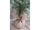 Zasněžený vánoční borovicový stromek v jutě a se šiškami Pine Tree - 70*150 cm Chic Antique