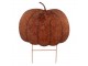 Rustikální zahradní rezavý zápich dýně Pumpkin Rust - 77*3*93 cm Clayre & Eef