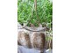 Kovový květináč na zeď Flower Antique Mocca – 34*18*65 cm Chic Antique
