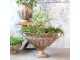 Kovový květináč na noze Flower Antique Mocca – Ø 56*38 cm Chic Antique