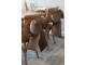 Mocca sametová mašle polštář se třpytkami – 40*50 cm Chic Antique