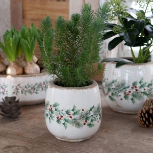 Béžový keramický květináč s cesmínou Holly Christmas Antique – Ø 15*14,5 cm