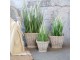 Sada 3ks květináčů s vložkou French Basket Grey – 40*40*32/ 33*33*26/ 25*25*22 cm Chic Antique