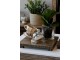 Šálek s uchem z New Bone China porcelánu zelený – Ø11*6,5 cm Chic Antique