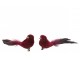 Sada 2 kousků sametových klipů Bird v červené barvě s péřovým zdobením – 16*5*5 cm J-Line by Jolipa