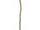 Větev se třpytkami Branch Glitter Champagne – 13*8*168 cm J-Line by Jolipa