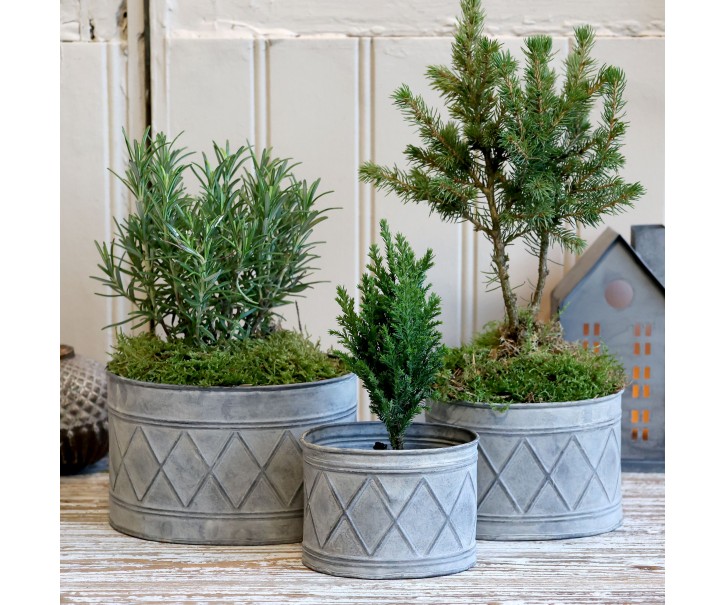 Sada 3ks zinkových plechových květináčů se vzorem Zinc Antique – 18*13,5*12 cm Chic Antique