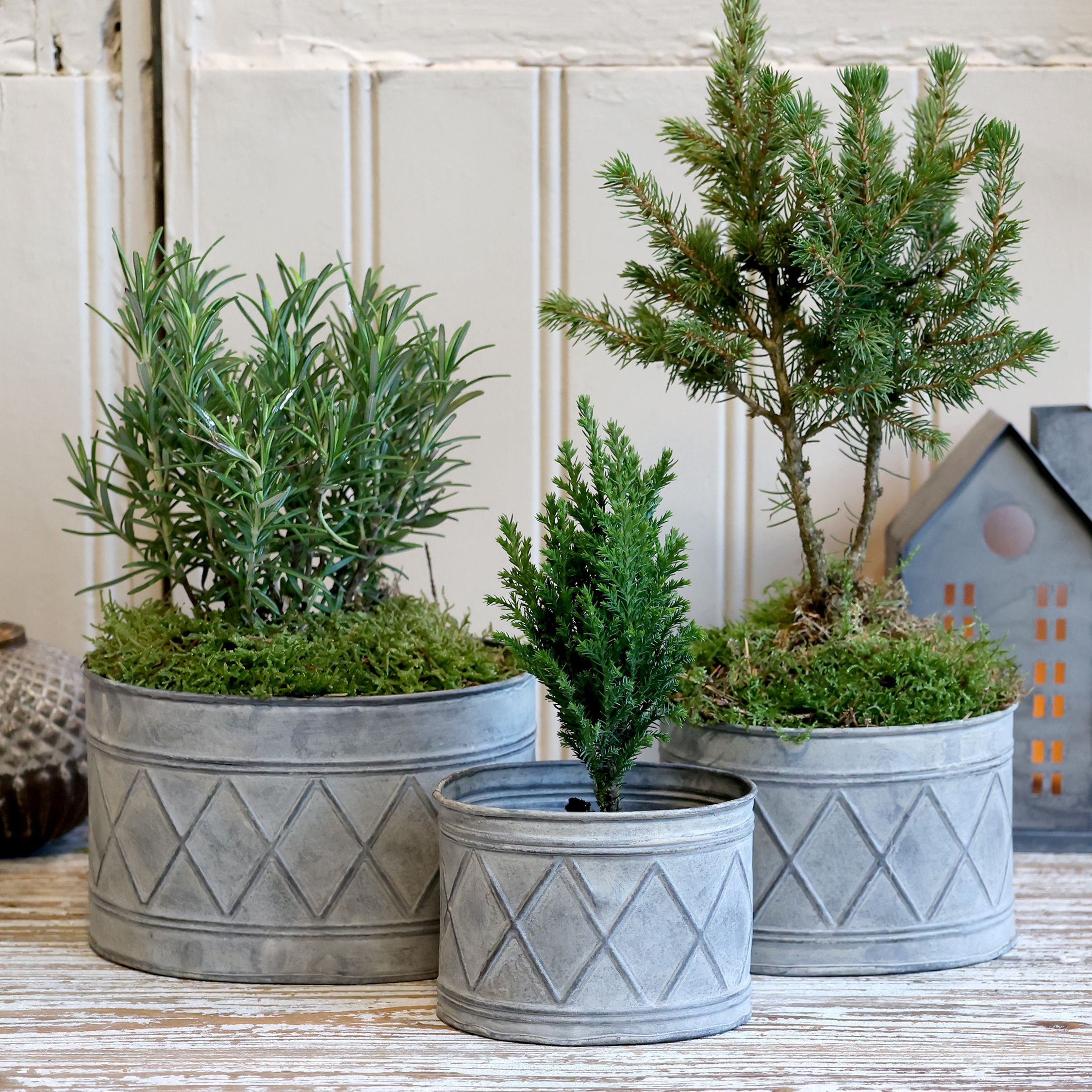 Sada 3ks zinkových květináčů se vzorem Zinc Antique – 18*13*12/ 15*11*10/ 12*9*9 cm Chic Antique Sada 3ks zinkových květináčů se vzorem Zinc Antique – 18*13*12/ 15*11*10/ 12*9*9 cm Chic Antique
