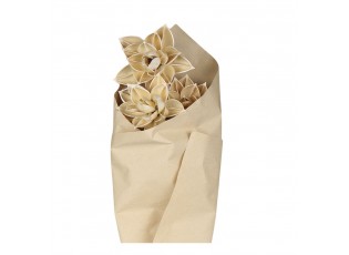 Sada sušených béžových květin jiřinka Fleur Dahlia – 55 cm / 3ks