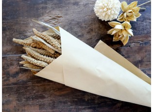 Sada sušených hnědých květin Fleur Seterea – 75 cm