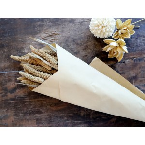 Sada sušených hnědých květin Fleur Seterea – 75 cm