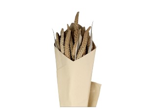 Sada sušených hnědých květin Fleur Seterea – 75 cm
