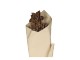 Sušené květy jiřiny Fleur hnědé natural – 55 cm Chic Antique