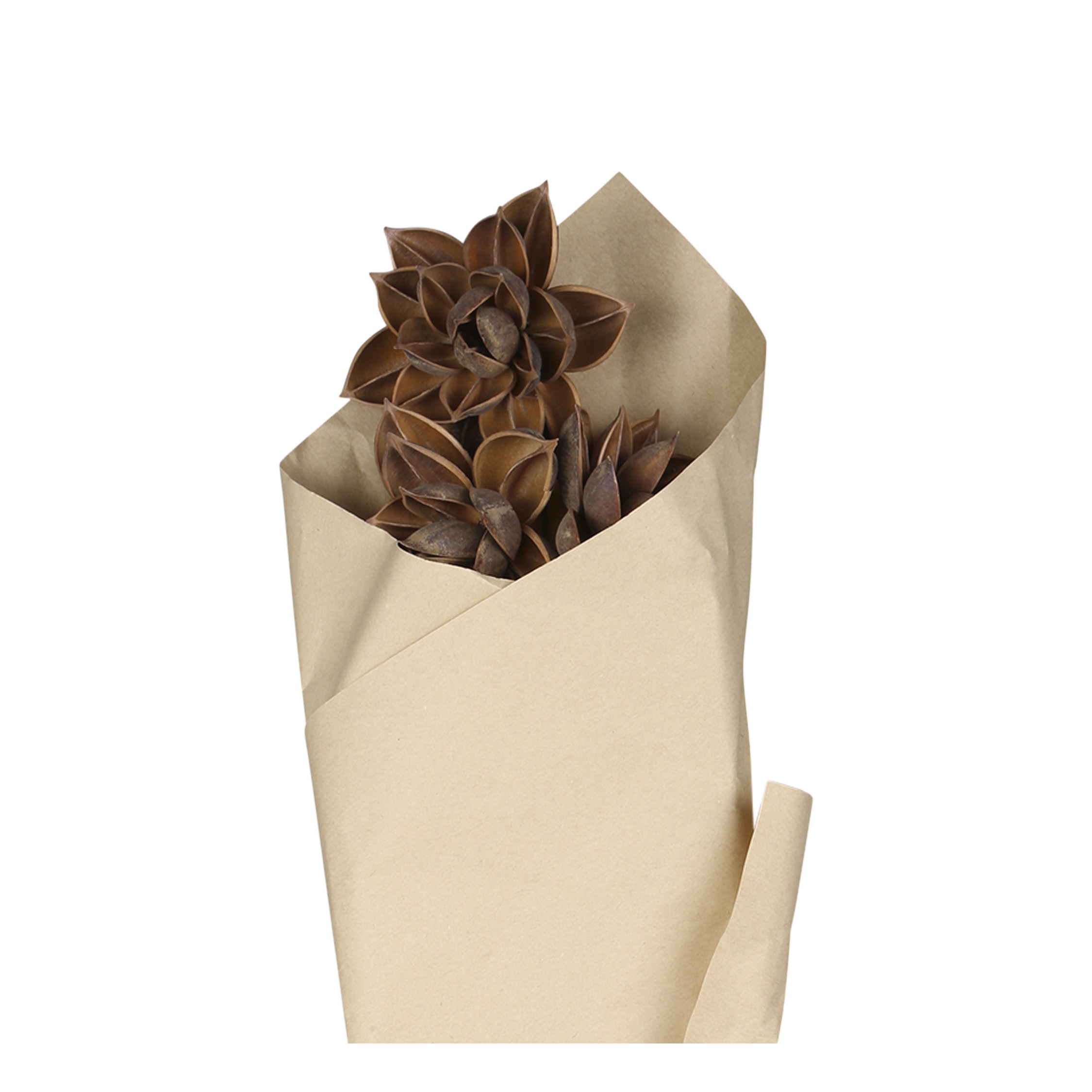Sada sušených hnědých květin jiřinka Fleur Dahlia – 55 cm / 3ks Chic Antique Sada sušených hnědých květin jiřinka Fleur Dahlia – 55 cm / 3ks Chic Antique