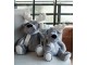 Veliký šedý plyšový los se šálou Cuddly Toy Elk – 36*31*40 cm J-Line by Jolipa