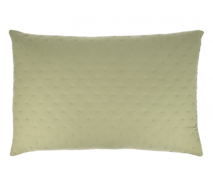 Měkký zelený povlak na polštář Aix Soft – 90*60 cm Chic Antique