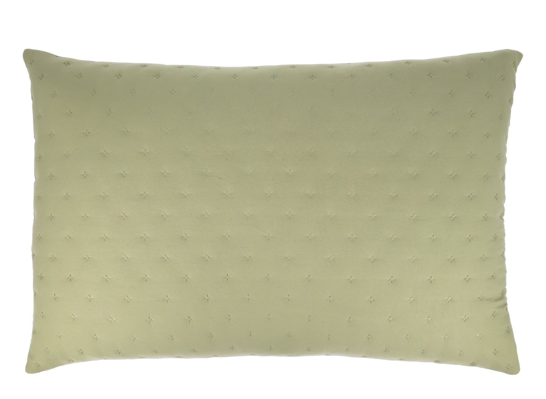 Měkký zelený povlak na polštář Aix Soft – 90*60 cm