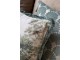 Povlak na polštář Aix s botanickým motivem a třásněmi – 50*50 cm Chic Antique