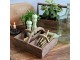 Box s rukojetí a 2 boxy z borovicového dřeva Nature – 23*12*13 cm Chic Antique