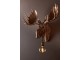 Nástěnná lampa hlava losa z polyresinu měděné barvy – 65*38*65 cm J-Line by Jolipa