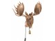 Nástěnná lampa hlava losa z polyresinu měděné barvy – 65*38*65 cm J-Line by Jolipa