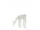 Bílá kovová svítící LED dekorace sob Reindeer LED – 60*15*50 cm J-Line by Jolipa