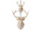 Nástěnná béžová dekorace hlava jelena Deer s kožíškem L – 37*32*48 cm J-Line by Jolipa