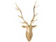 Zlatá veliká nástěnná hlava jelena Deer z polyresinu XL – 57*38*103 cm J-Line by Jolipa