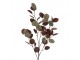 Umělá dekorační větev rostlina Eucalyptus – 90 cm Clayre & Eef