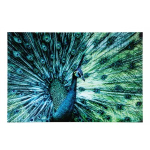 Nástěnná skleněná dekorace páv Peacock – 120*0,4*80 cm