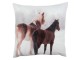 Polštář s výplní REAL ANIMALS koně - 40*40cm Clayre & Eef