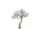 Rozkvetlý strom Magnolie - 260*260*260cm